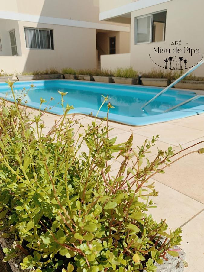 Ferienwohnung Miau De Pipa Praia de Pipa Exterior foto